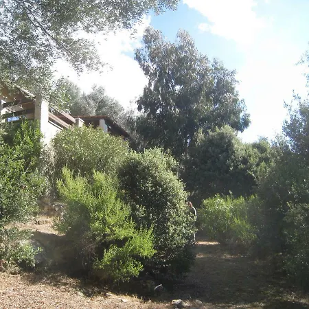 Piano-minore * Olmeto (Corsica)